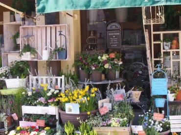 早春の日差しに誘われます✿　　　｜「フローリスト飾り屋」　（鹿児島県鹿児島市の花キューピット加盟店 花屋）のブログ
