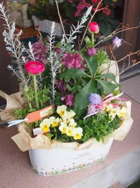 春の寄せ鉢セット～｜「フローリスト飾り屋」　（鹿児島県鹿児島市の花キューピット加盟店 花屋）のブログ