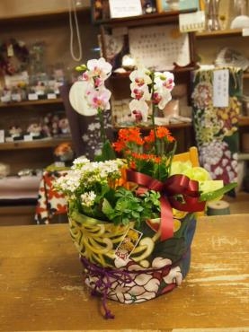 特集～９月１６日・敬老の日　＆　秋の感謝セール　ご覧ください～(^o^)丿｜「フローリスト飾り屋」　（鹿児島県鹿児島市の花キューピット加盟店 花屋）のブログ