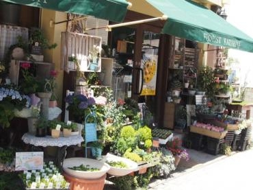 初夏の日差しに輝く仲間たち　(^o^)丿｜「フローリスト飾り屋」　（鹿児島県鹿児島市の花キューピット加盟店 花屋）のブログ