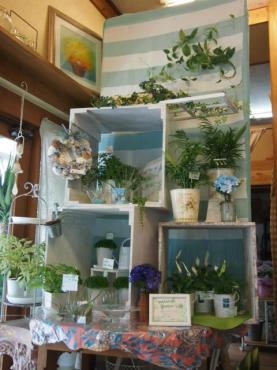 夏への模様替え　パートⅡ～｜「フローリスト飾り屋」　（鹿児島県鹿児島市の花キューピット加盟店 花屋）のブログ