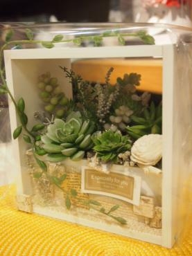 TANIKU　ＰＬＡＮＴＳ　おすすめですよ　｜「フローリスト飾り屋」　（鹿児島県鹿児島市の花キューピット加盟店 花屋）のブログ