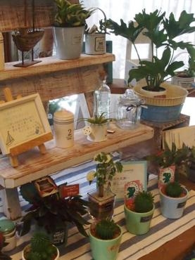 暑中お見舞い申し上げます。｜「フローリスト飾り屋」　（鹿児島県鹿児島市の花キューピット加盟店 花屋）のブログ