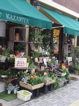 秋の寄せ植え　カラーリーフで楽しみませんか♪｜「フローリスト飾り屋」　（鹿児島県鹿児島市の花キューピット加盟店 花屋）のブログ
