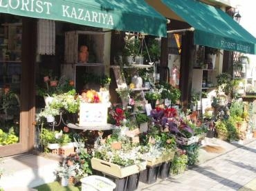 敬老の日　秋の寄せ植えおススメですよ｜「フローリスト飾り屋」　（鹿児島県鹿児島市の花キューピット加盟店 花屋）のブログ
