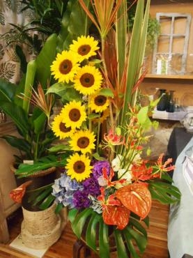 開店のお祝いに　ひまわりアレンジ　～｜「フローリスト飾り屋」　（鹿児島県鹿児島市の花キューピット加盟店 花屋）のブログ