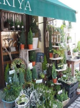 １１月の寄せ植え・・・｜「フローリスト飾り屋」　（鹿児島県鹿児島市の花キューピット加盟店 花屋）のブログ