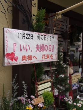 「いい夫婦の日」にちなんで心温まるドラマ・・・★★クリスマスディスプレイ～｜「フローリスト飾り屋」　（鹿児島県鹿児島市の花キューピット加盟店 花屋）のブログ
