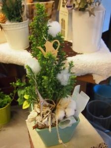 ミニグリーンで　かわいいクリスマスインテリア☆!!｜「フローリスト飾り屋」　（鹿児島県鹿児島市の花キューピット加盟店 花屋）のブログ