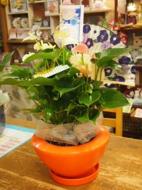 夏ならではの　アレンジです(^o^)丿｜「フローリスト飾り屋」　（鹿児島県鹿児島市の花キューピット加盟店 花屋）のブログ