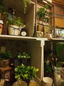 ちいさなスペース　模様替え・・・｜「フローリスト飾り屋」　（鹿児島県鹿児島市の花キューピット加盟店 花屋）のブログ