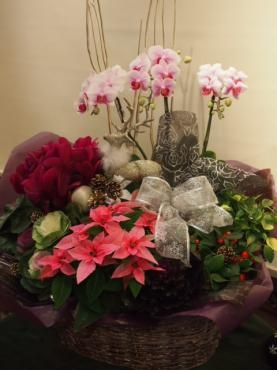 素敵な贈り物～　店頭のクリスマス寄せ植えでサンタ＆福の神のお出迎え～♪　♪｜「フローリスト飾り屋」　（鹿児島県鹿児島市の花キューピット加盟店 花屋）のブログ