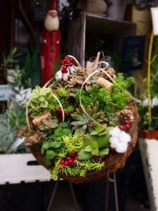 冬の贈り物・・・・あれこれセレクション♪　♪｜「フローリスト飾り屋」　（鹿児島県鹿児島市の花キューピット加盟店 花屋）のブログ