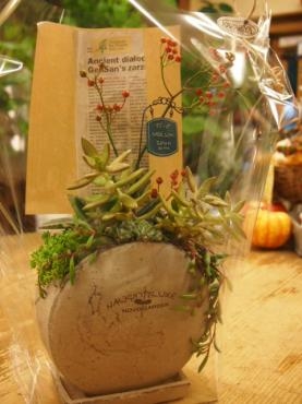ＴＡＮＩＫＵ　PLANTS　❤❤｜「フローリスト飾り屋」　（鹿児島県鹿児島市の花キューピット加盟店 花屋）のブログ