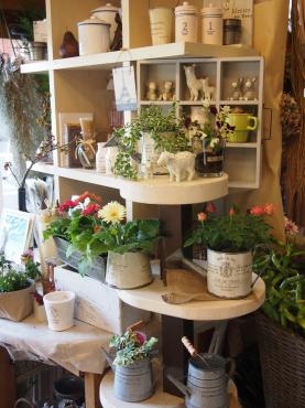 naturalグリーンで　午後のティータイムギャラリー・・・｜「フローリスト飾り屋」　（鹿児島県鹿児島市の花キューピット加盟店 花屋）のブログ