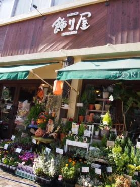 ハローウィン♪　まで　あと１週間♪｜「フローリスト飾り屋」　（鹿児島県鹿児島市の花キューピット加盟店 花屋）のブログ