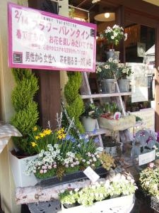　春の花贈り～～＼(^o^)／｜「フローリスト飾り屋」　（鹿児島県鹿児島市の花キューピット加盟店 花屋）のブログ