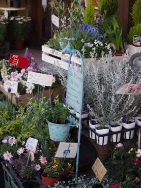 春のガーデングッズで気分転換～｜「フローリスト飾り屋」　（鹿児島県鹿児島市の花キューピット加盟店 花屋）のブログ