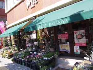 パートⅡ　　寄せ植え日和　母の日におススメですよ✿｜「フローリスト飾り屋」　（鹿児島県鹿児島市の花キューピット加盟店 花屋）のブログ