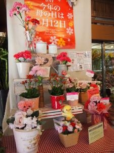 もうすぐ母の日ですよ～｜「フローリスト飾り屋」　（鹿児島県鹿児島市の花キューピット加盟店 花屋）のブログ