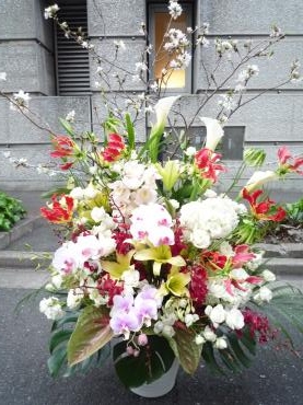 御祝アレンジメント、御注文ありがとうございました。｜「銀座ニューフラワー」　（東京都中央区の花キューピット加盟店 花屋）のブログ