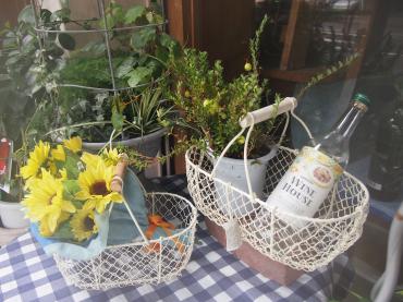うちのゴーヤ坊やの成長ぶり・・・｜「フローリスト飾り屋」　（鹿児島県鹿児島市の花キューピット加盟店 花屋）のブログ