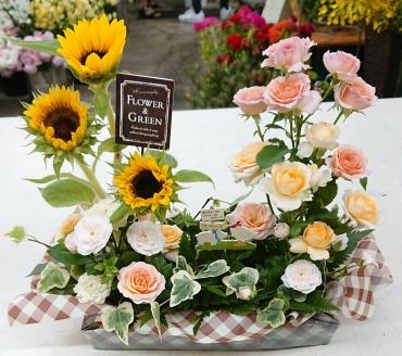 ヒマワリとスプレー咲きバラのパラレルアレンジメント♪｜「愛花」　（愛媛県松山市の花キューピット加盟店 花屋）のブログ