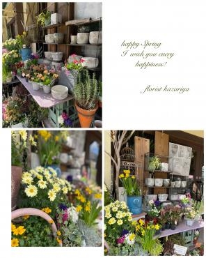 ウキウキ、わくわく…♫　♪｜「フローリスト飾り屋」　（鹿児島県鹿児島市の花キューピット加盟店 花屋）のブログ
