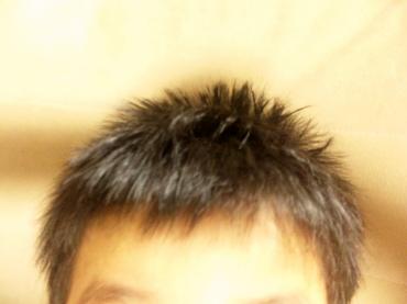 自分で散髪｜「ポピー」　（京都府八幡市の花キューピット加盟店 花屋）のブログ