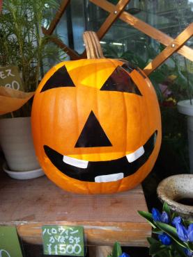 ハロウィンかぼちゃ｜「ポピー」　（京都府八幡市の花キューピット加盟店 花屋）のブログ