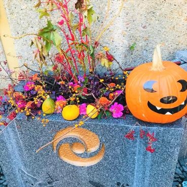今週の飛行神社の花手水（ハロウィンバージョン）｜「ポピー」　（京都府八幡市の花キューピット加盟店 花屋）のブログ